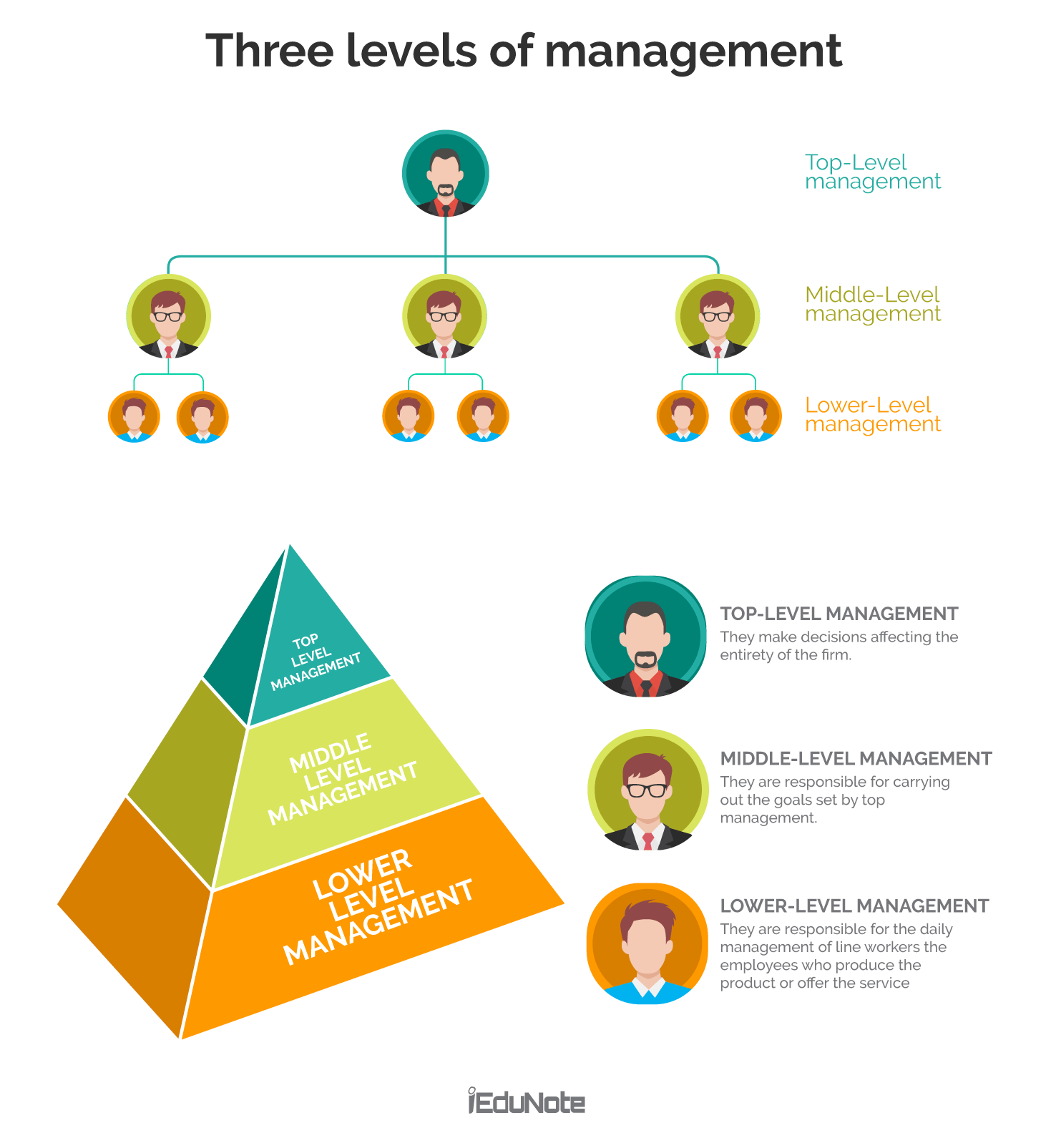 3 Management Levels in Organizational Hierarchy