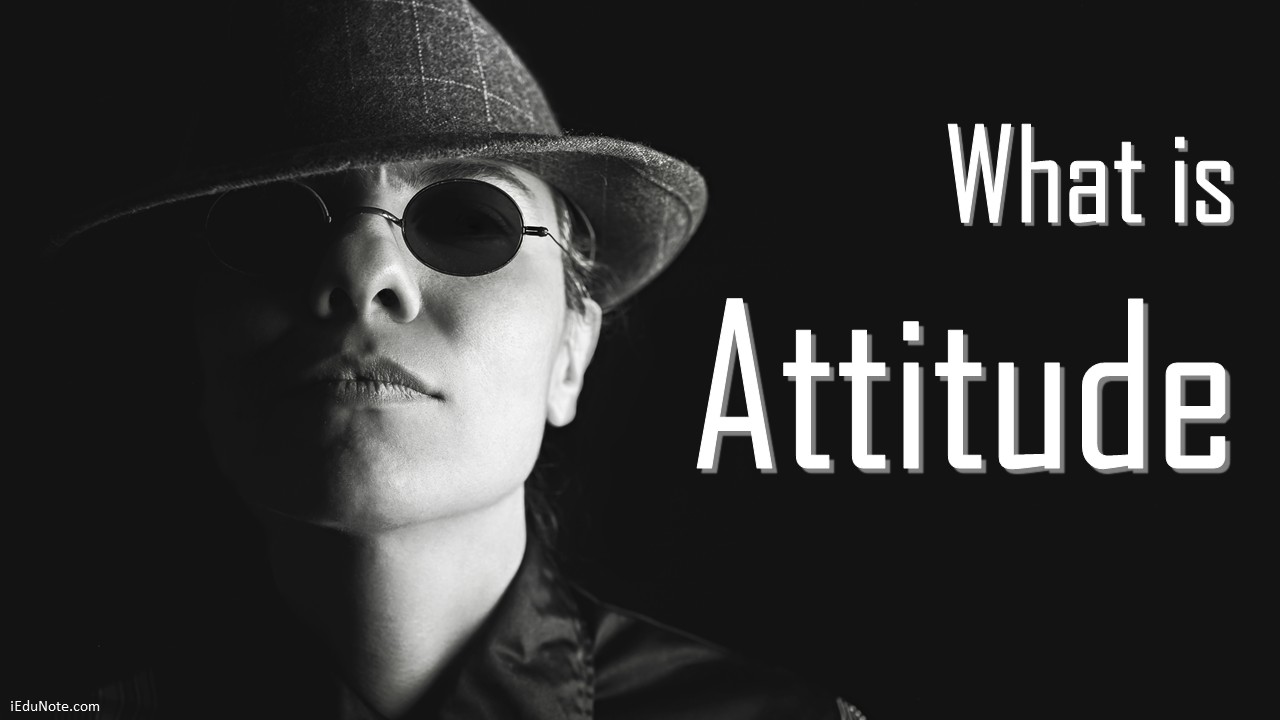 what is attitude
