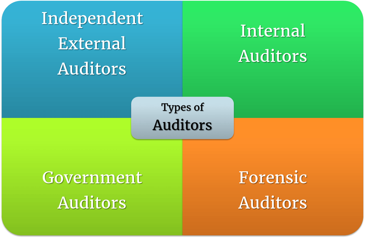 Types of Auditors Types of Auditors