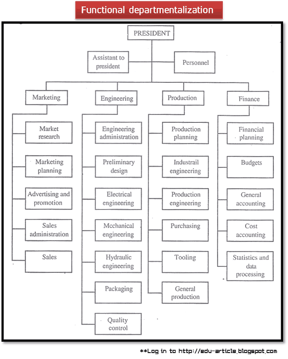 Functional Departmentalization: Advantages and Disadvantages Functional Departmentalization: Advantages and Disadvantages