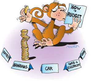 Planning Process Steps - Numbering Plans by Budgeting
