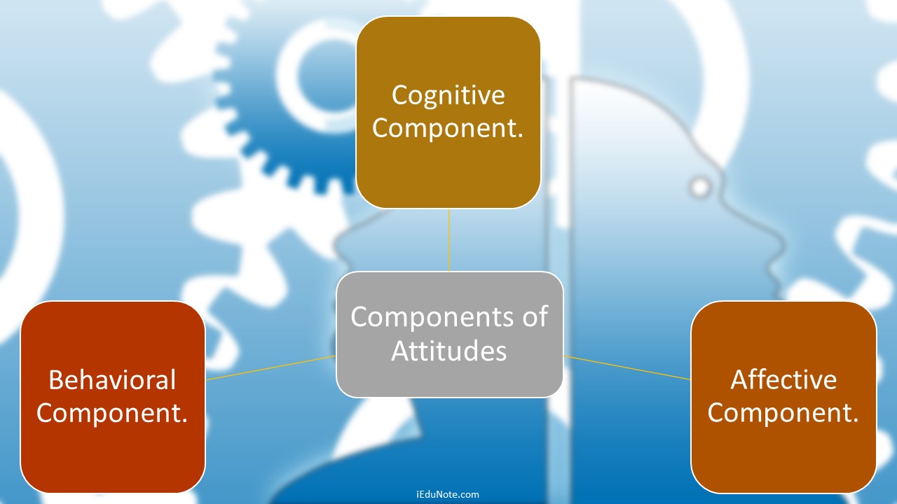 Components of Attitudes