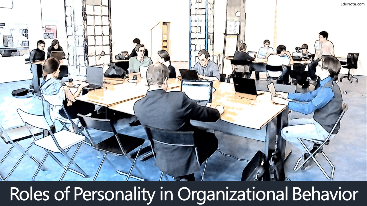 Roles of Personality in Organizational Behavior