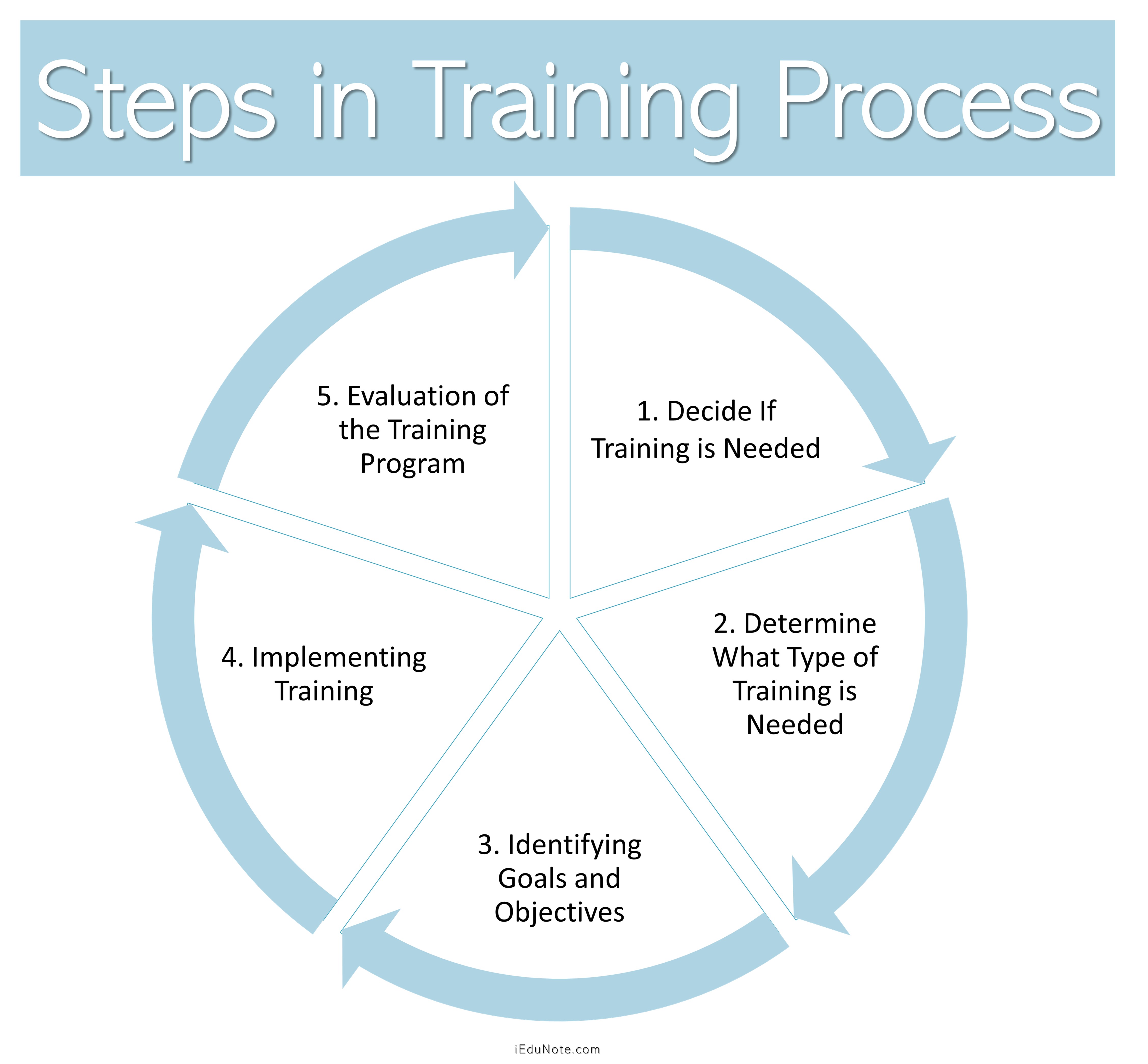 Steps in Training Process/Phases of Training Steps in Training Process/Phases of Training