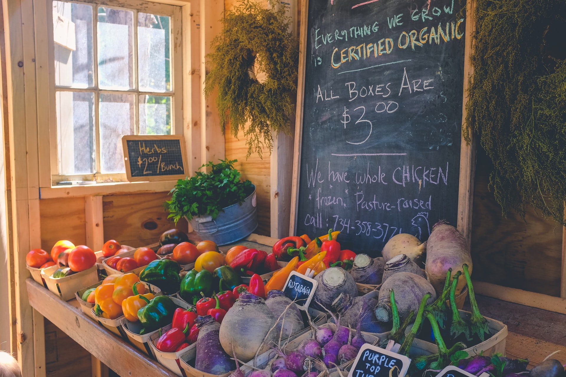 Accounting for Effect of Price Level Changes
