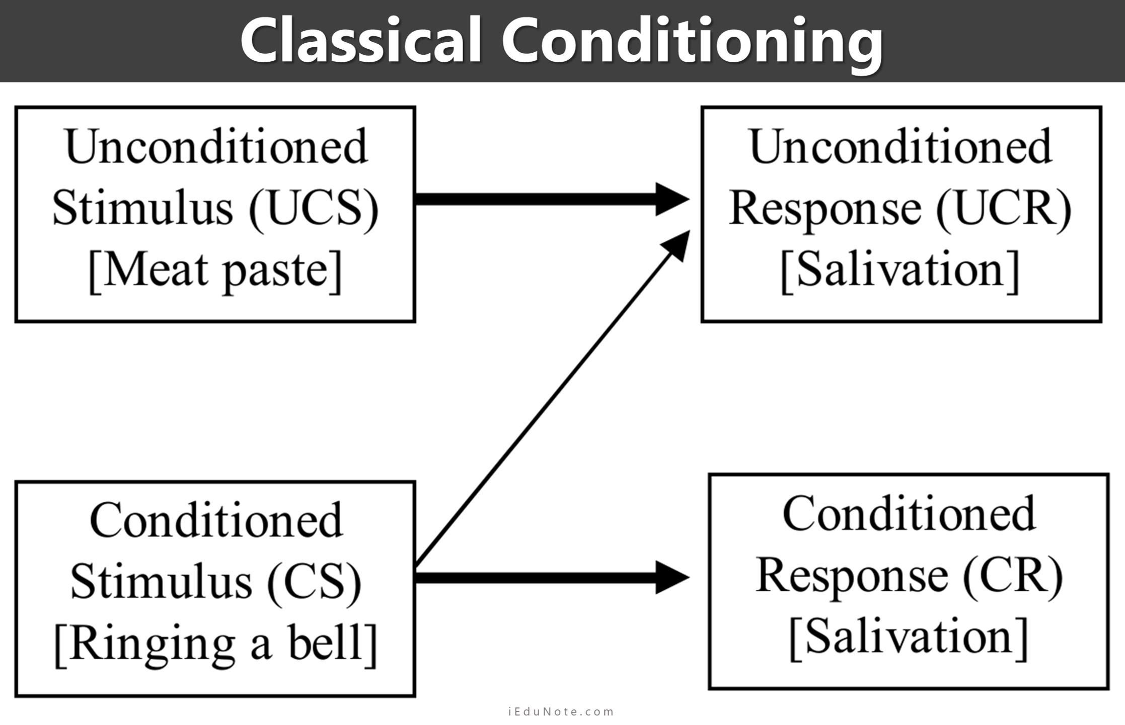 Classical Conditioning and Behavior Modification Classical Conditioning and Behavior Modification