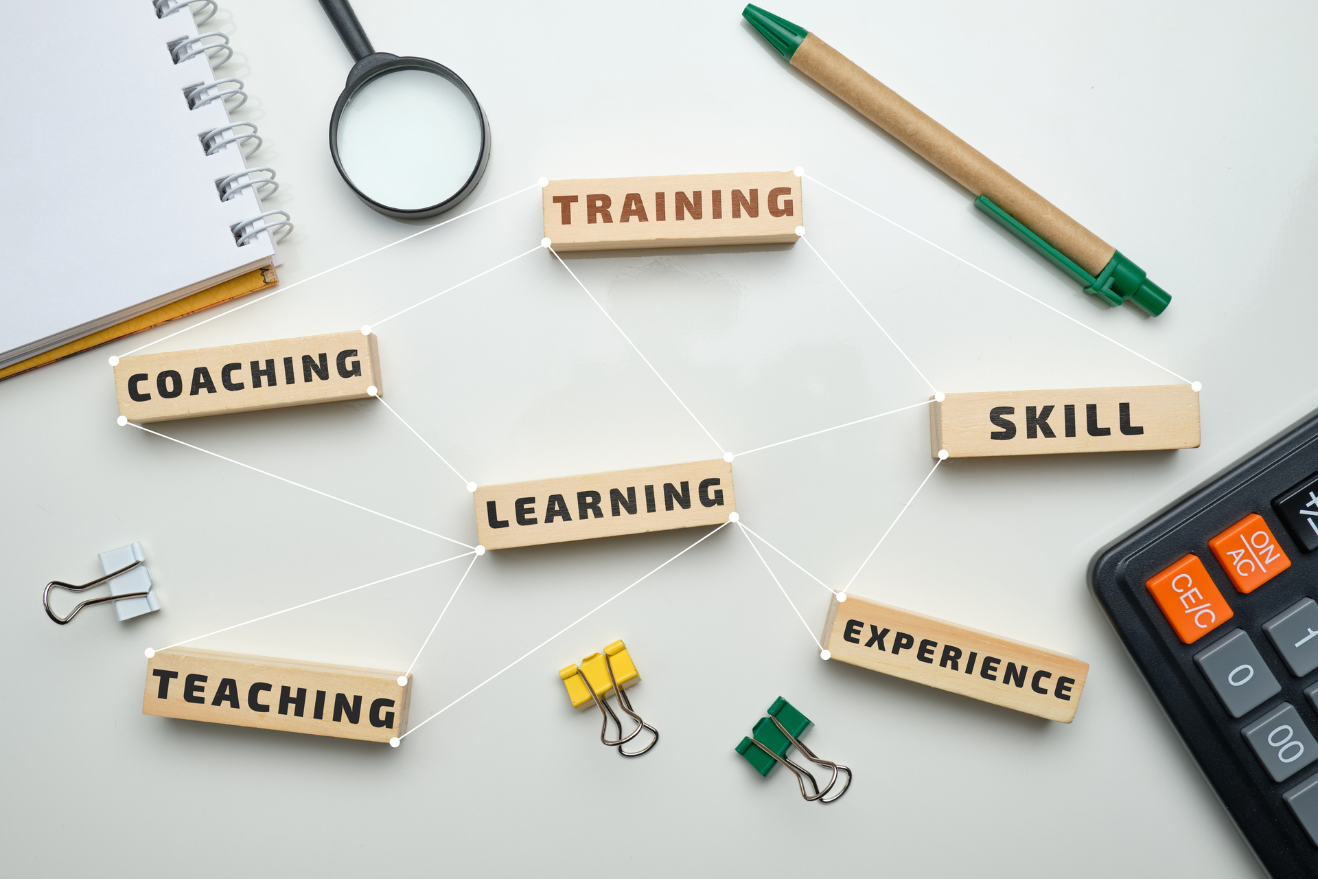 Learning Theories: Behaviorist and Cognitive Theories of Learning