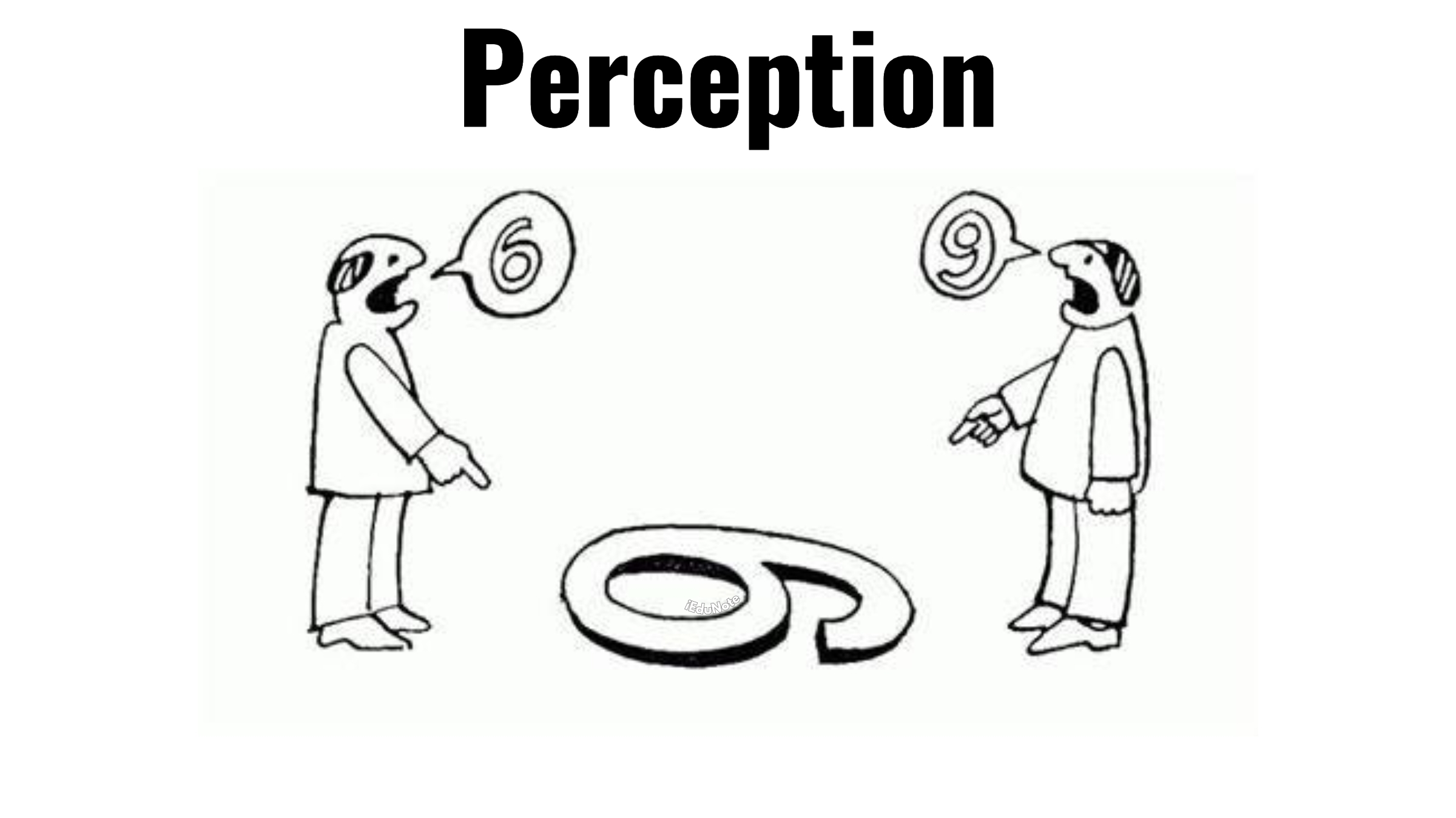 Background of Studying Consumer Perception