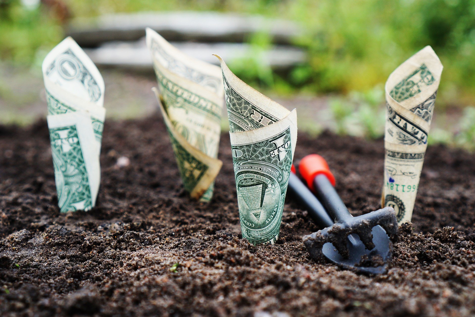Complex Capital Structure