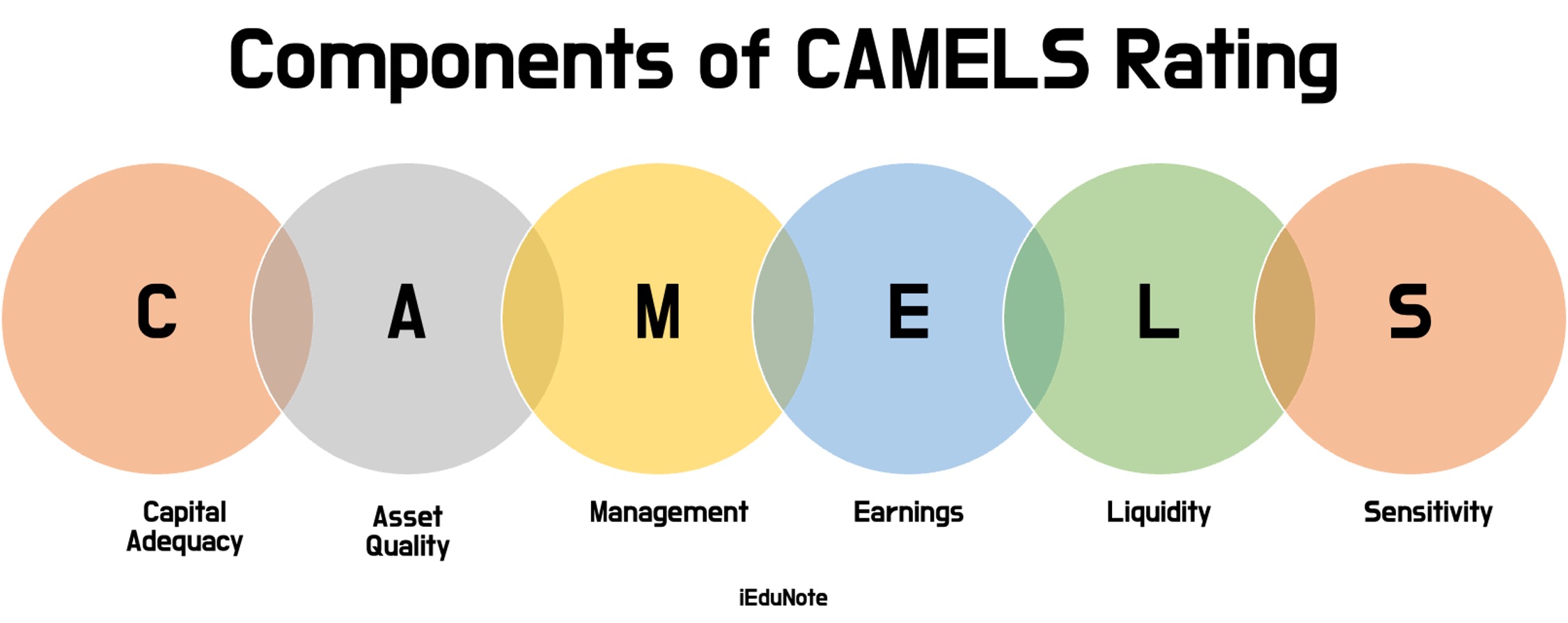 CAMELS Rating System: Meaning, Background, Components