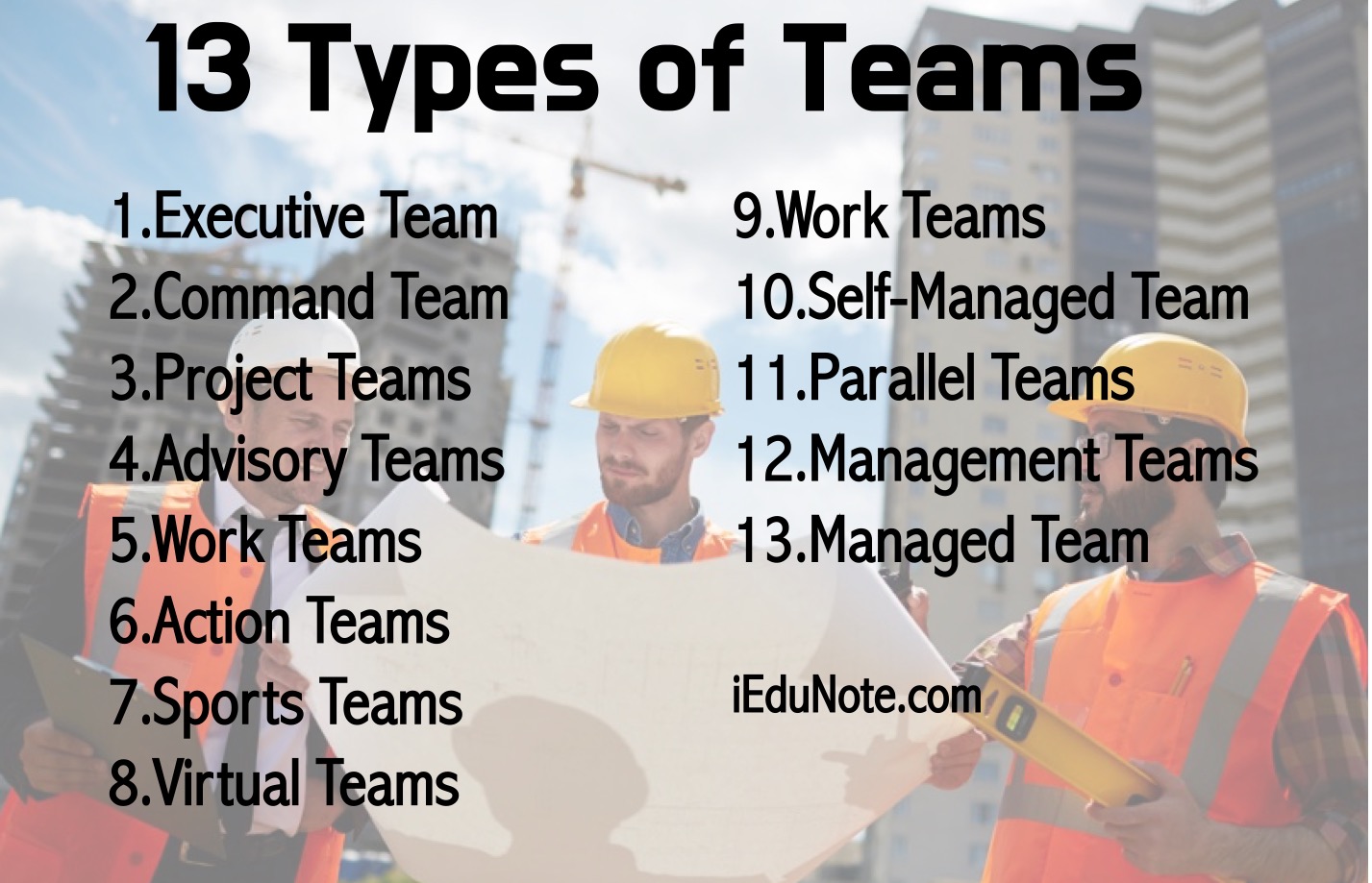 13 types of teams