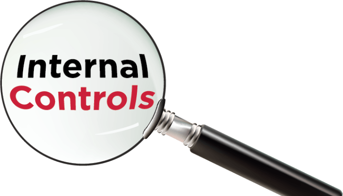 Internal Control System