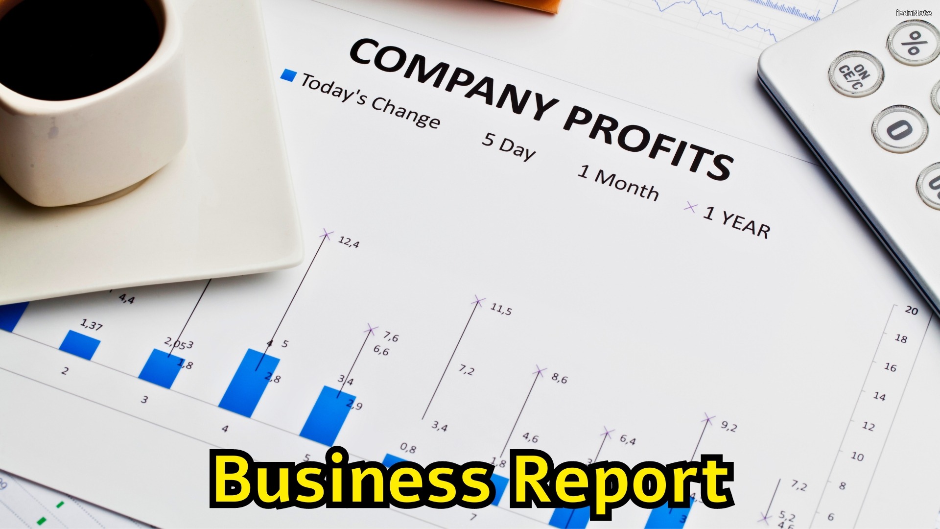 business report