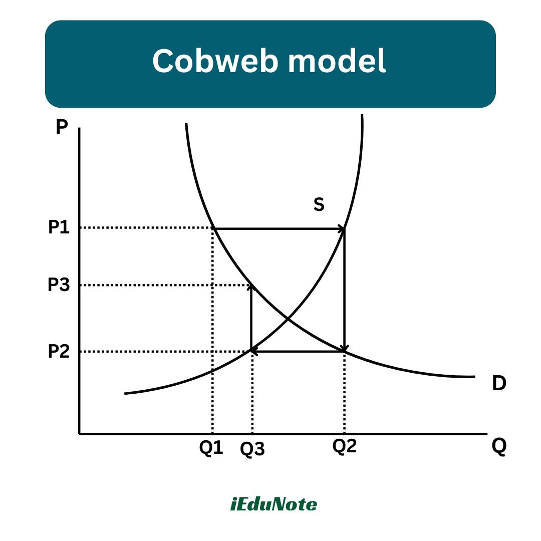 cobweb model cobweb model