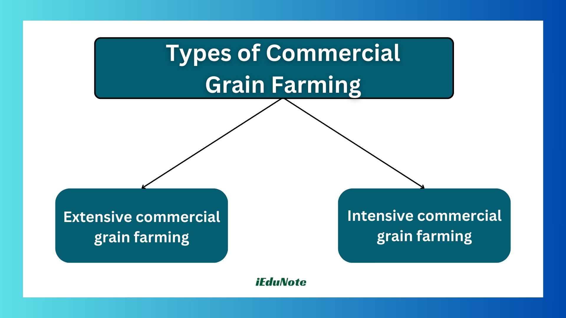 types of commercial grain farming